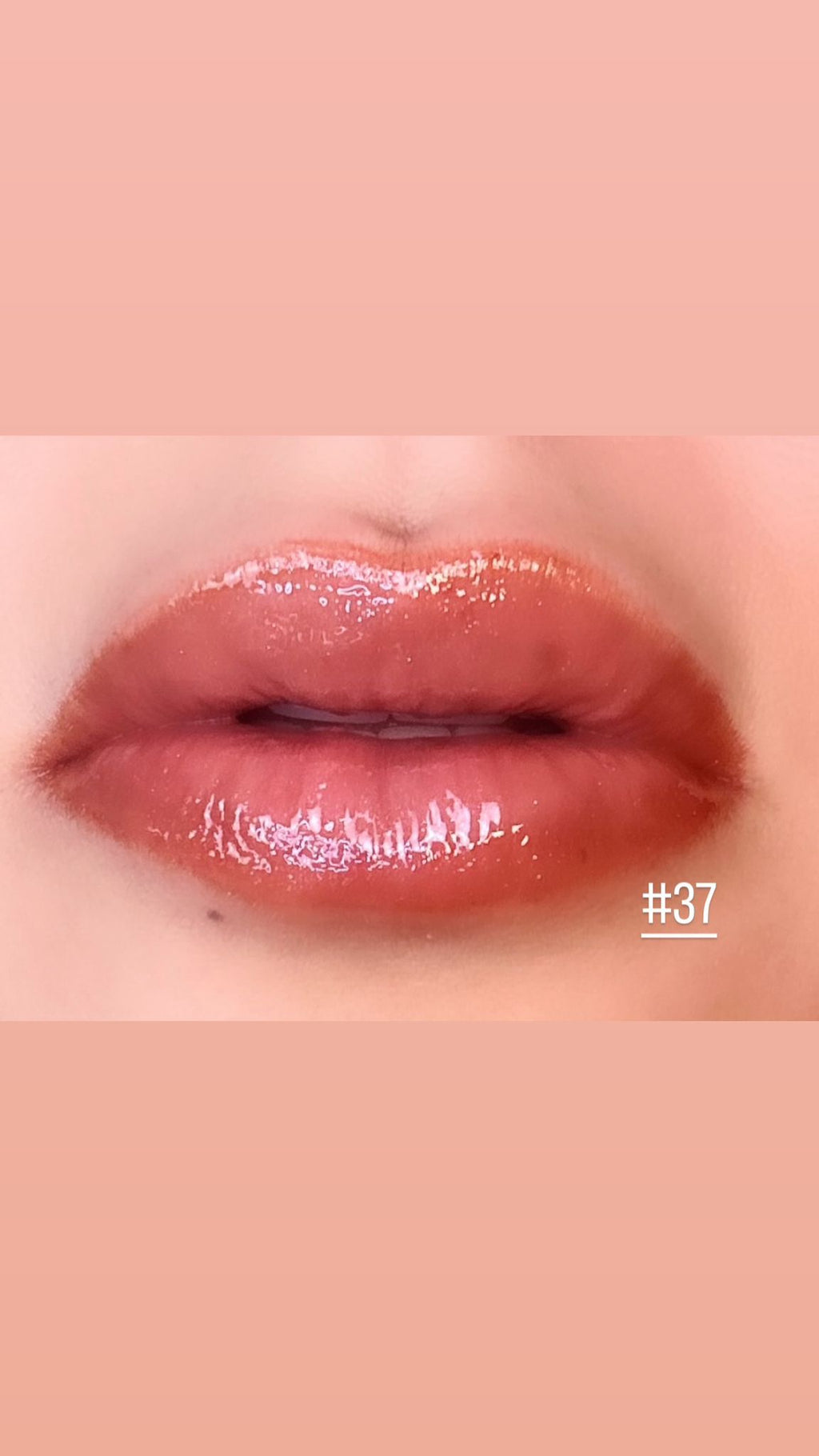Lip Gloss Kit #37 0008-37