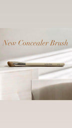 Concealer Brush #16 — Precision Blending