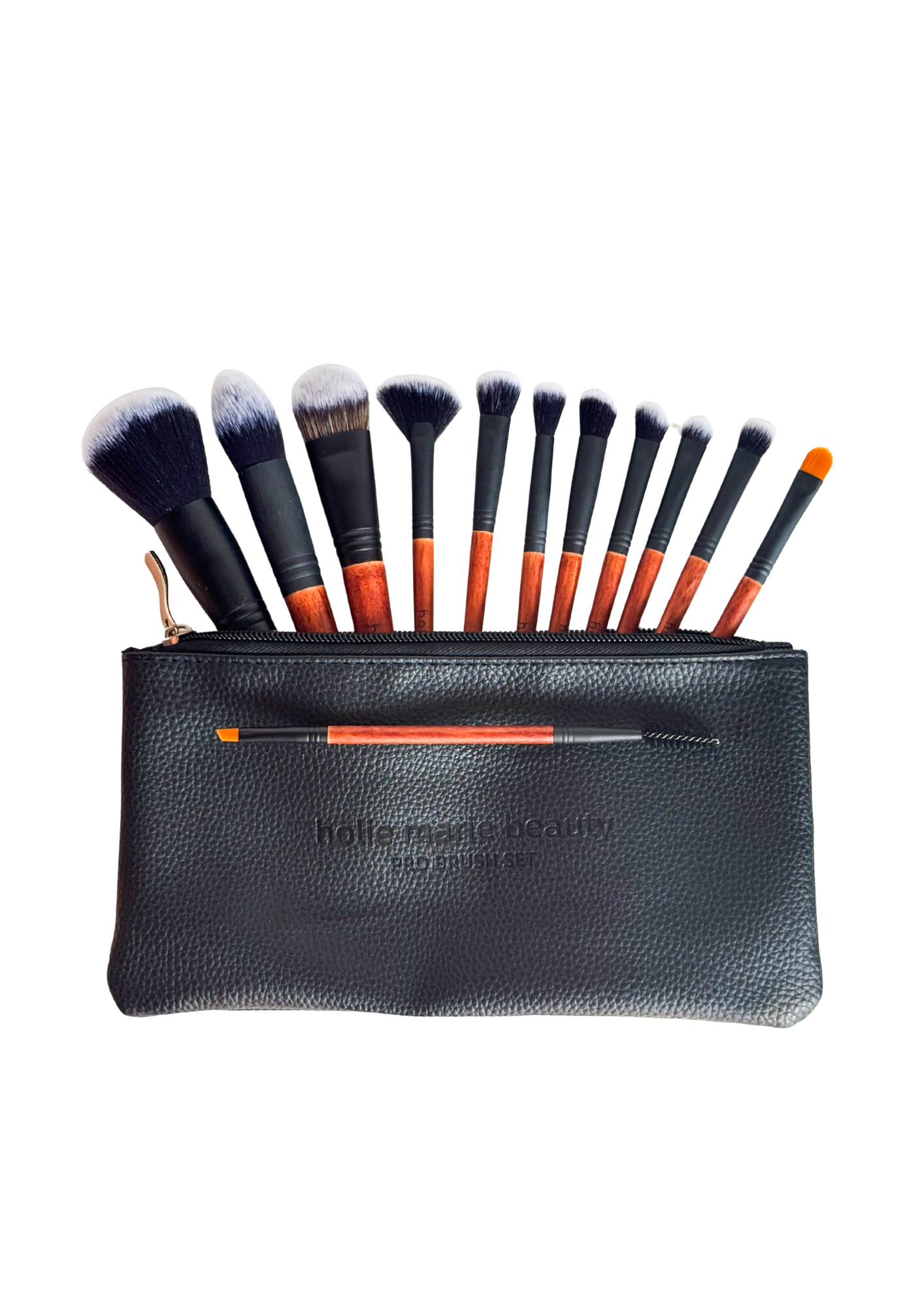 Professional 13-Piece Brush Kit