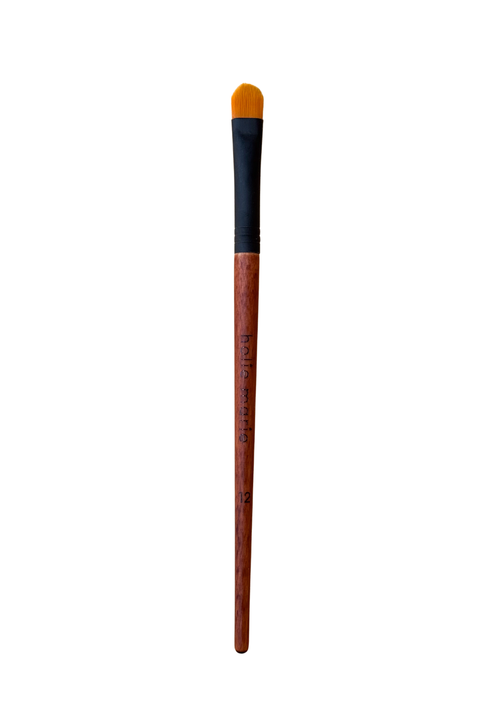 Professional 13-Piece Brush Kit