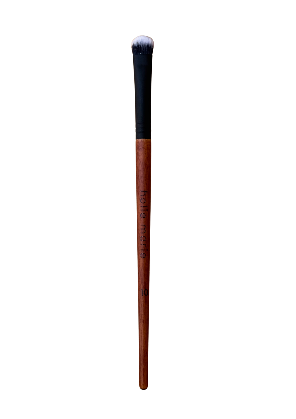 Professional 13-Piece Brush Kit