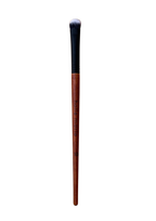 Professional 13-Piece Brush Kit