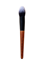 Professional 13-Piece Brush Kit