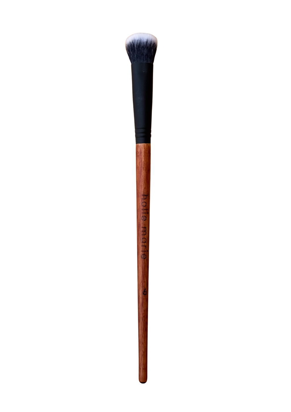 Professional 13-Piece Brush Kit