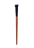 Professional 13-Piece Brush Kit